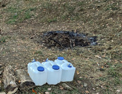 PXL_20251129_062050033