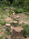 PXL_20260606_012755758