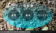 スクリーンショット (17726).png