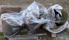 PXL_20260111_035936897