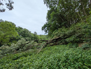PXL_20260604_034957683