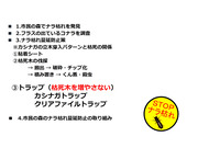 市民の森のナラ枯れと蔓延_17