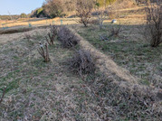 PXL_20260305_072518638