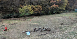 PXL_20251129_062032036