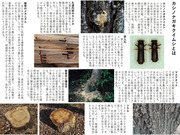 小平市緑化推進委員会資料_02