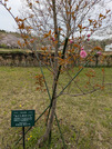 PXL_20260405_051816777