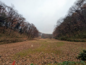 PXL_20251214_034739586