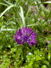 PXL_20260409_025738283