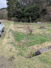 PXL_20260401_022715123