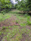 PXL_20260523_234122056