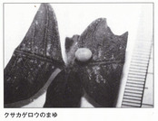 img-221126095629-0009