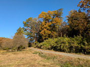 PXL_20251120_234806750