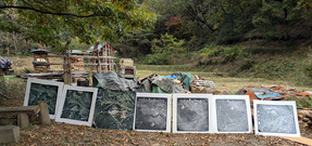 PXL_20251113_030404419.MP