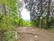 PXL_20260610_053002696