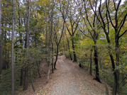 PXL_20251117_233210114