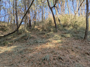 PXL_20260127_022939634