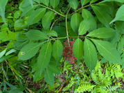 PXL_20260604_022217275