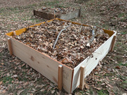 PXL_20260125_022556187