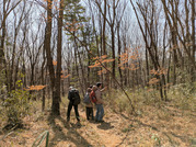 PXL_20260301_025351747