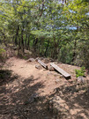 PXL_20260531_031131004
