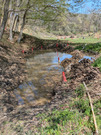 PXL_20260403_031220147