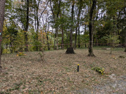 PXL_20251113_022829941.MP