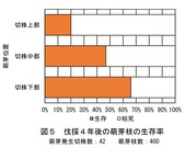 高齢コナラ林からの萌芽状況_2B