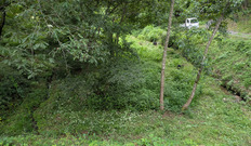 PXL_20260804_040130154