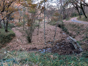 PXL_20251210_070025050