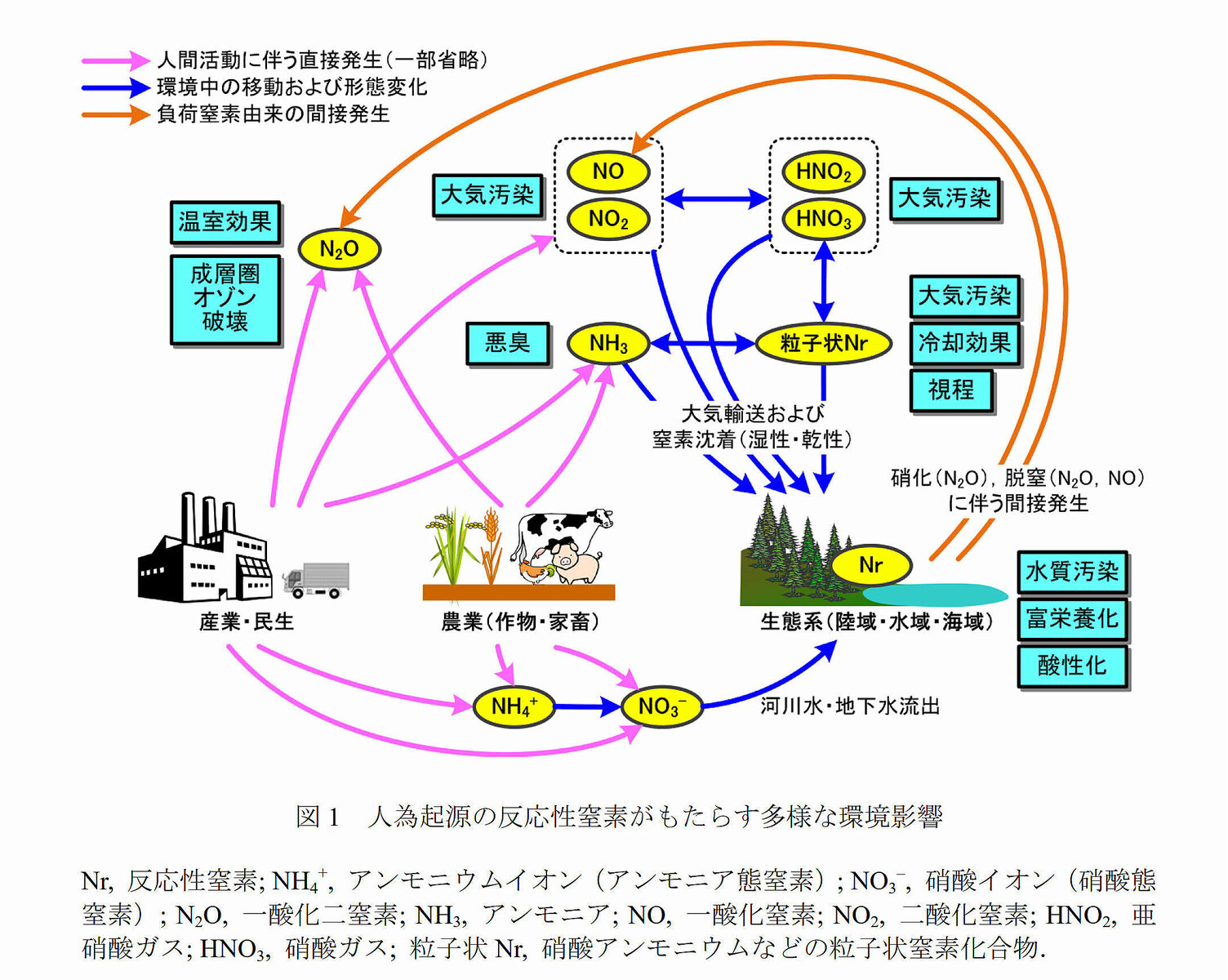 林健太郎「人類の食料生産・消費がもたらす窒素問題」 11月5