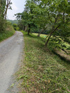 PXL_20260508_022138051