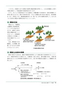 災害に強い森林づくり指針（長野県）shishin_8_08