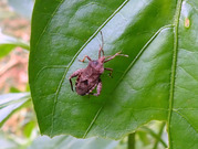 P8210015
