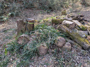 PXL_20260308_023820075