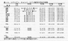 bull3103_3