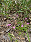 PXL_20260511_014626919