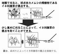稲垣「雑草学の視点から害虫防除を考える」7_12