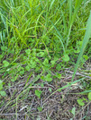 PXL_20260505_085154767