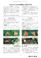 オオタバコガの発生と見分け方_1