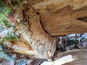 PXL_20260116_015613620