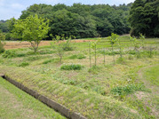 PXL_20260508_040326165