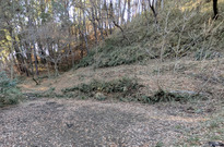 PXL_20260118_052535633