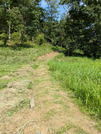 PXL_20260731_051528353
