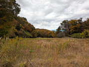 PXL_20251118_001151432