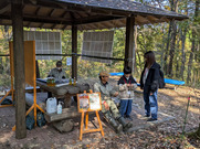 PXL_20251116_031142374