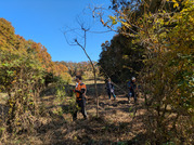 PXL_20251121_030632066