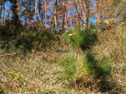 PXL_20251208_025317788