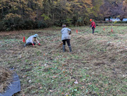 PXL_20251128_004641181