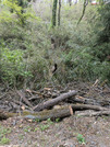 PXL_20260415_043252107