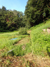 P7310051
